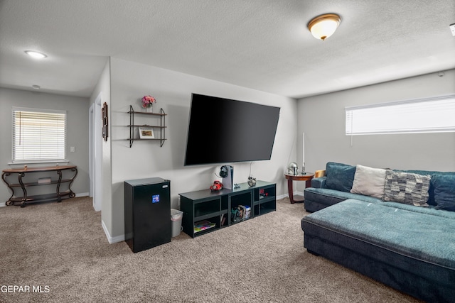 10625 Hidden Links Pl, El Paso, TX 79924 - living area featuring carpet flooring, a textured ceiling, and healthy amount of natural light