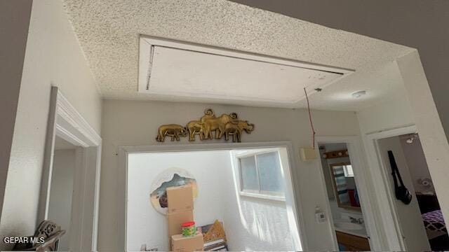 10729, 10731 Chert St, El Paso, TX 79924 - photo 57