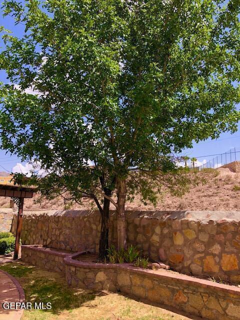 6392 Franklin Gate Dr, El Paso, TX 79912 - view of yard