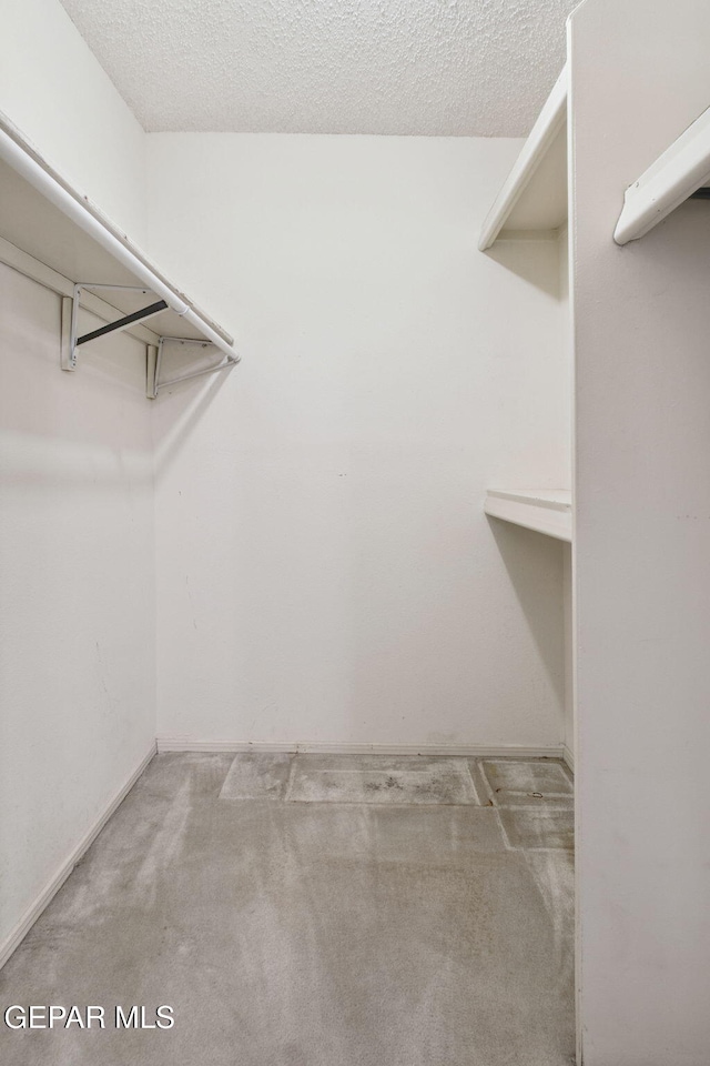 5536 Fernwood Cir, El Paso, TX 79932 - walk in closet with carpet