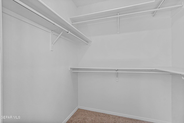 656 Moondale Dr, El Paso, TX 79912 - photo 58