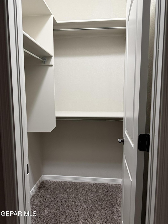 229 Epsom Dr, El Paso, TX 79928 - spacious closet featuring carpet flooring