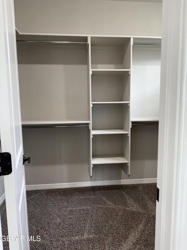229 Epsom Dr, El Paso, TX 79928 - spacious closet featuring carpet flooring