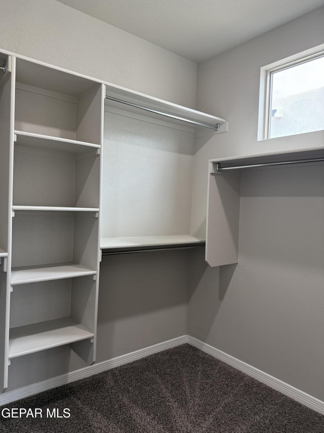 229 Epsom Dr, El Paso, TX 79928 - walk in closet with carpet