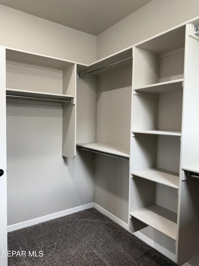 229 Epsom Dr, El Paso, TX 79928 - walk in closet with dark carpet