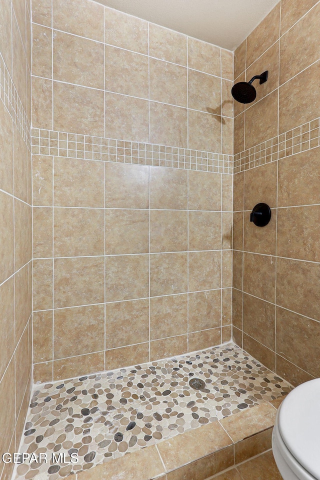 125 N Nevarez Rd, Socorro, TX 79927 - bathroom featuring a tile shower and toilet