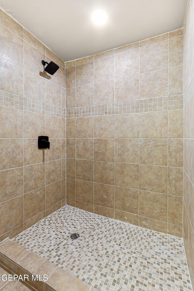 125 N Nevarez Rd, Socorro, TX 79927 - full bath featuring a tile shower