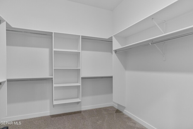 145 Bonnie Trl, Sunland Park, NM 88063 - photo 31