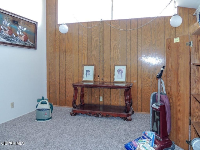 2721 Fir St, El Paso, TX 79925 - detailed view of carpet flooring and wooden walls