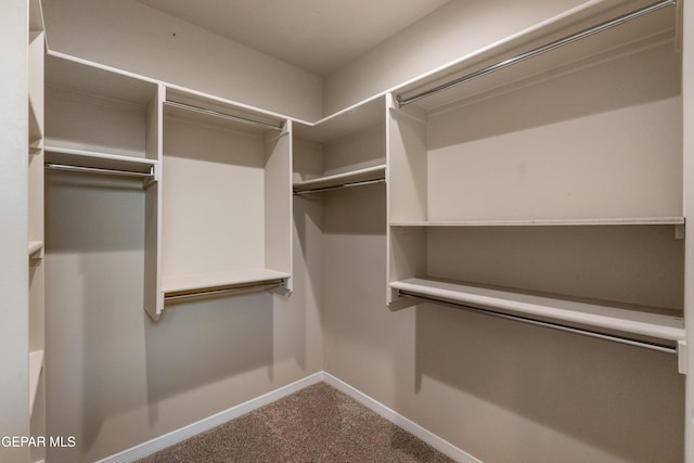 13597 Gatton St, El Paso, TX 79928 - spacious closet with dark colored carpet