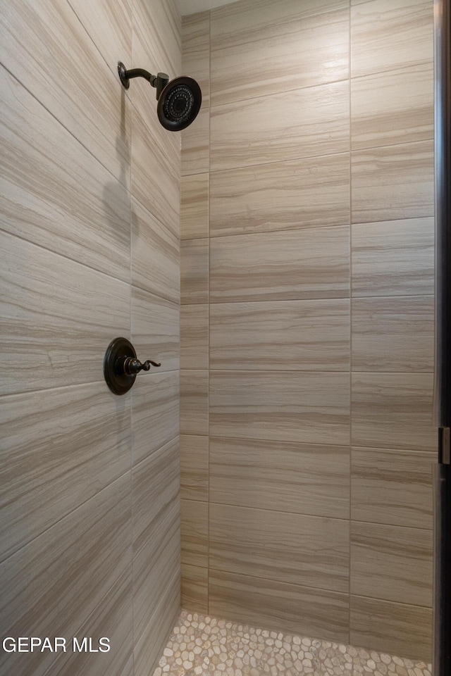 13597 Gatton St, El Paso, TX 79928 - full bathroom featuring a tile shower