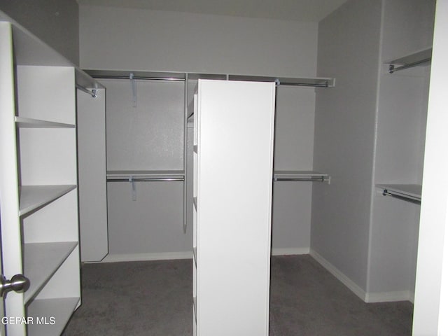 2813 Mike Price Dr, El Paso, TX 79938 - walk in closet featuring carpet flooring