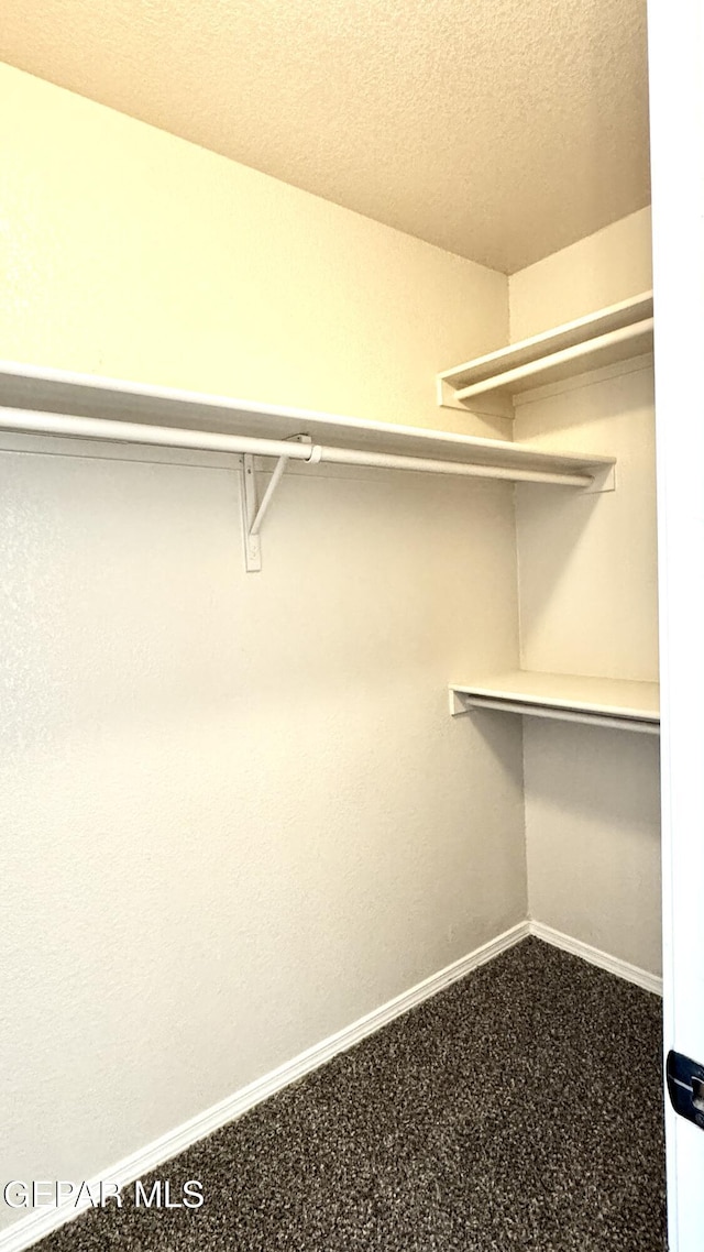 14207 Ranier Point Dr, El Paso, TX 79938 - view of spacious closet