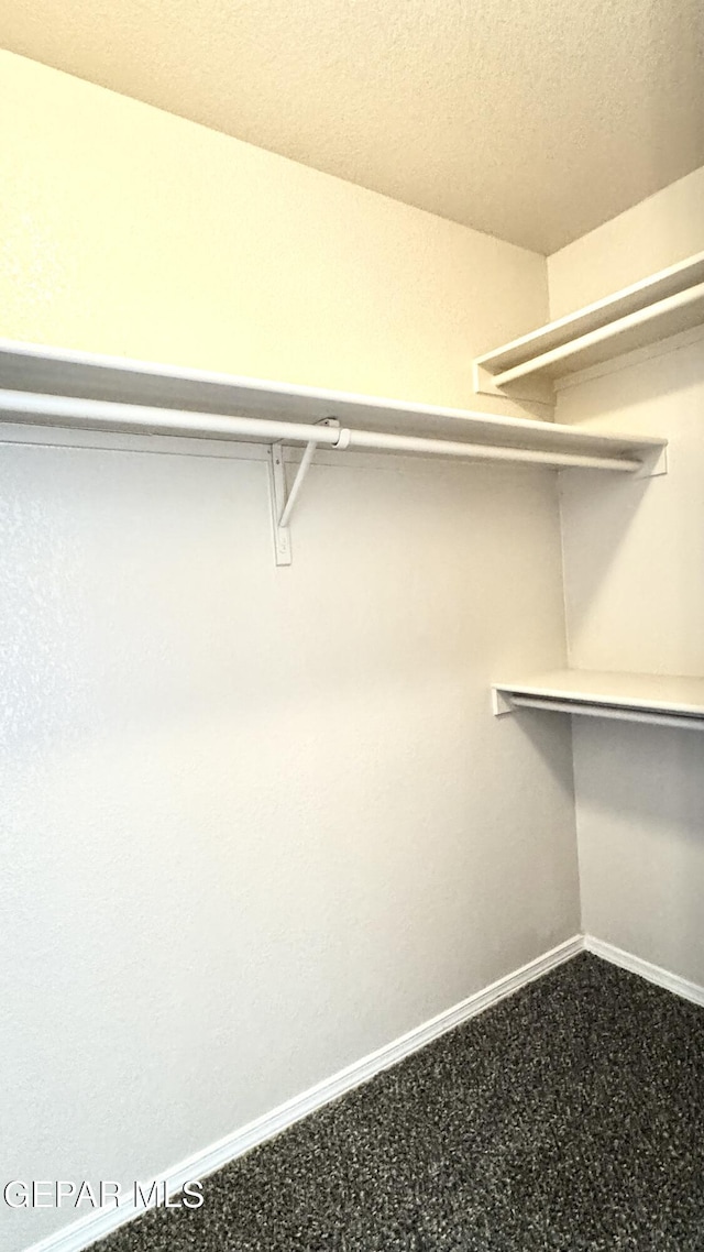 14207 Ranier Point Dr, El Paso, TX 79938 - view of spacious closet