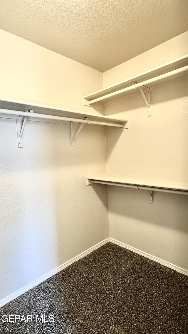 14207 Ranier Point Dr, El Paso, TX 79938 - view of spacious closet