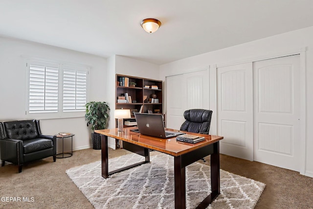 3143 Red Maple, El Paso, TX 79938 - view of carpeted office