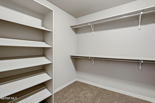 3143 Red Maple, El Paso, TX 79938 - walk in closet with carpet