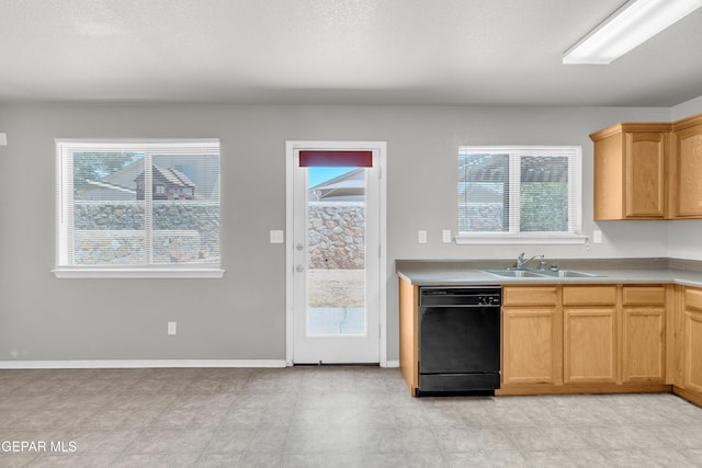 7029 Copper Canyon Dr, El Paso, TX 79934 - kitchen with dishwasher and a sink