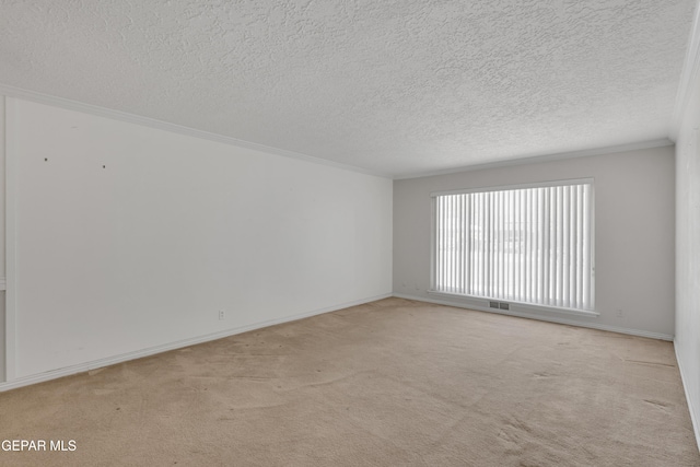 3313 Dublin Rd, El Paso, TX 79925 - spare room featuring light carpet, a textured ceiling, and crown molding