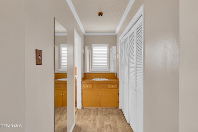 3313 Dublin Rd, El Paso, TX 79925 - corridor with light wood-style flooring and crown molding
