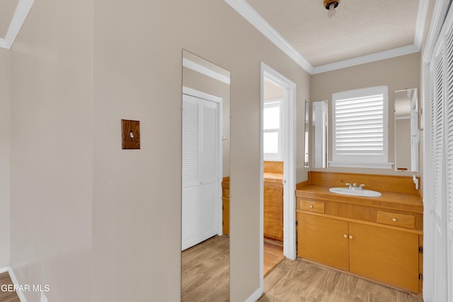 3313 Dublin Rd, El Paso, TX 79925 - bathroom with wood finished floors, ornamental molding, vanity, a closet, and a textured ceiling