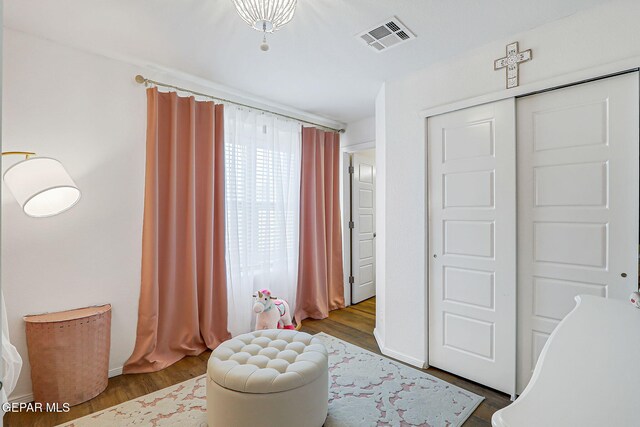 13847 Alamito Creek Ave, Clint, TX 79836 - bedroom featuring wood finished floors and a closet