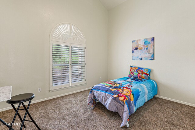 6569 Majestic Ridge Dr, El Paso, TX 79912 - photo 35
