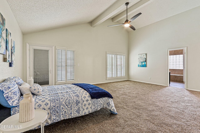 6569 Majestic Ridge Dr, El Paso, TX 79912 - photo 51