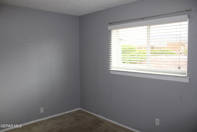 9909 Sidewinder St, El Paso, TX 79924 - photo 33