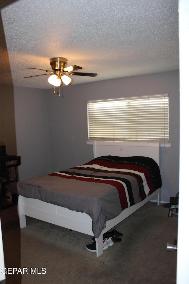 9909 Sidewinder St, El Paso, TX 79924 - photo 16