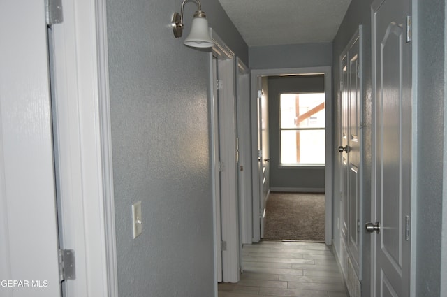 14309 Desierto Bueno Ave, Horizon City, TX 79928 - hall with wood finished floors and a textured wall