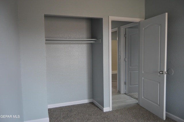 14309 Desierto Bueno Ave, Horizon City, TX 79928 - view of closet