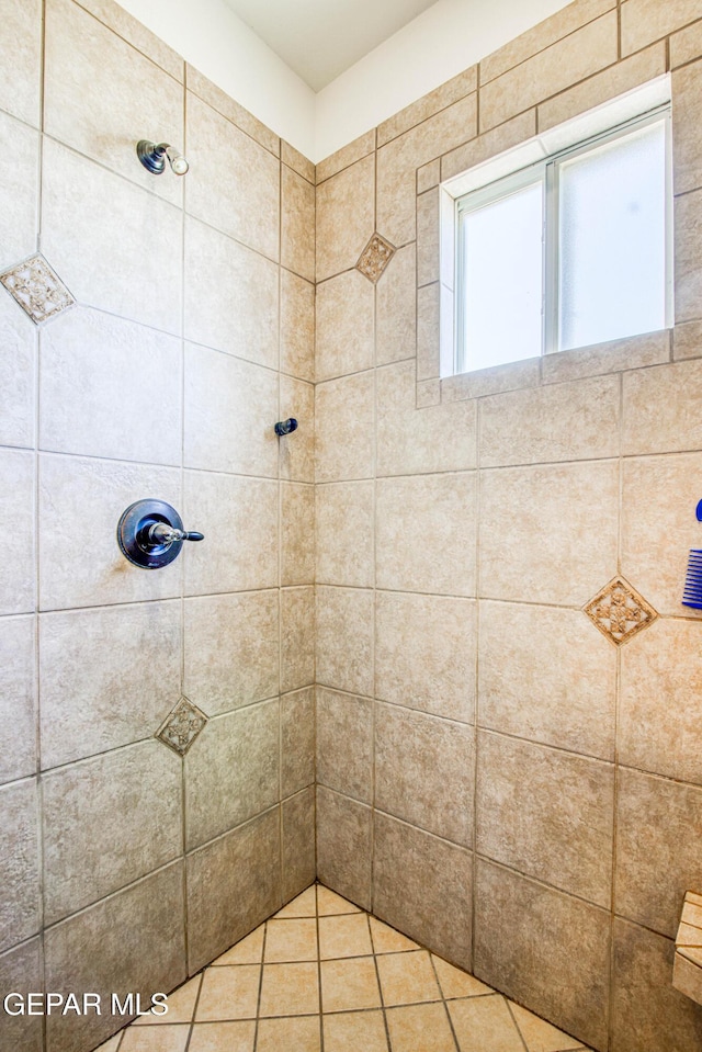 1348 Franklin Wind Place, El Paso, TX 79912 - full bathroom with tiled shower