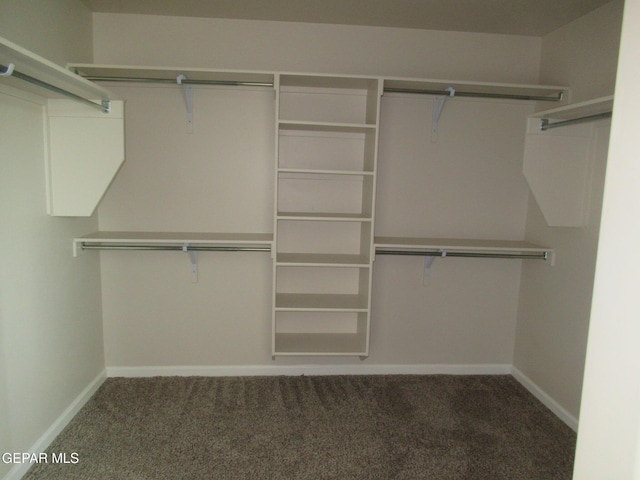 205 Staffs Way, El Paso, TX 79928 - walk in closet with carpet