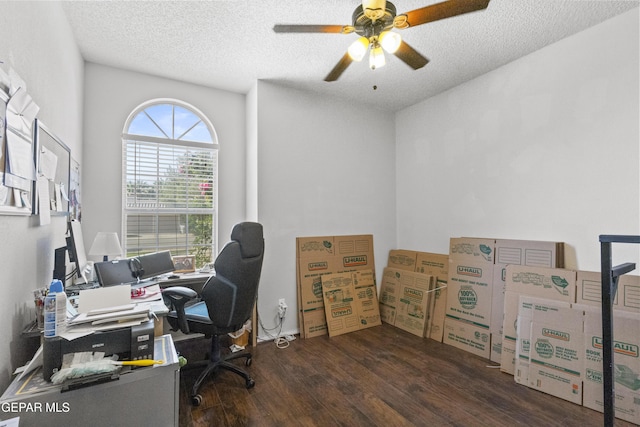 658 Sara Lynn Ct, El Paso, TX 79932 - office space with wood finished floors, a ceiling fan, and a textured ceiling