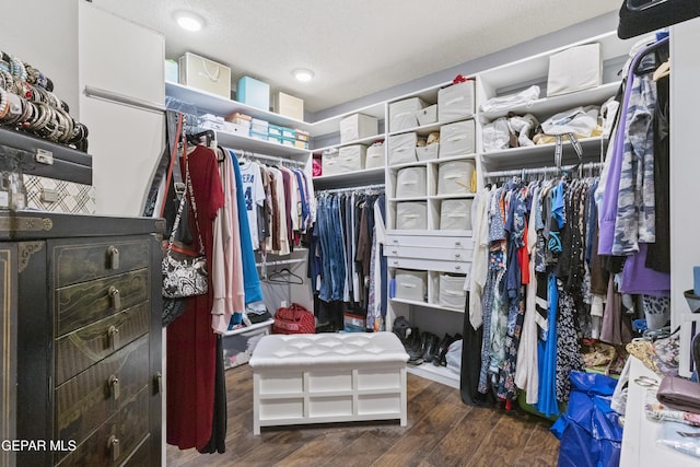 658 Sara Lynn Ct, El Paso, TX 79932 - spacious closet featuring wood finished floors