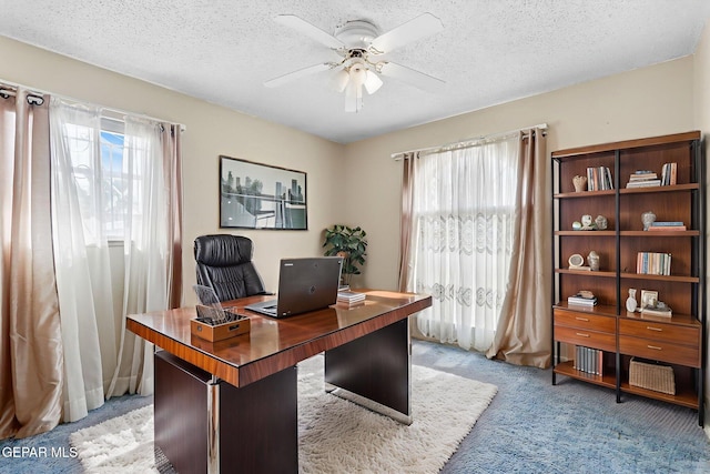 8004 Gilbert Dr, El Paso, TX 79907 - photo 51