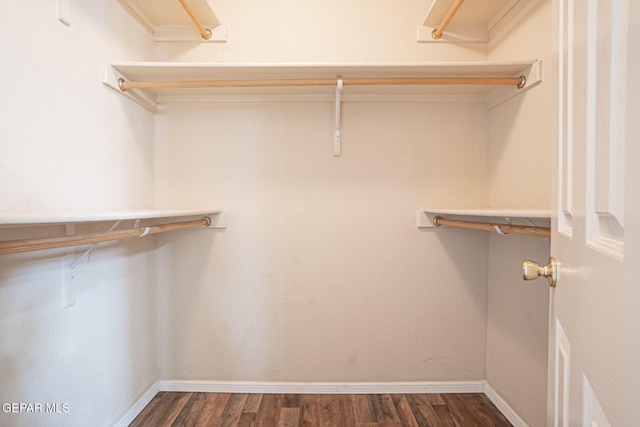 3340 Tierra Yvette Ln, El Paso, TX 79938 - walk in closet with dark wood-style flooring