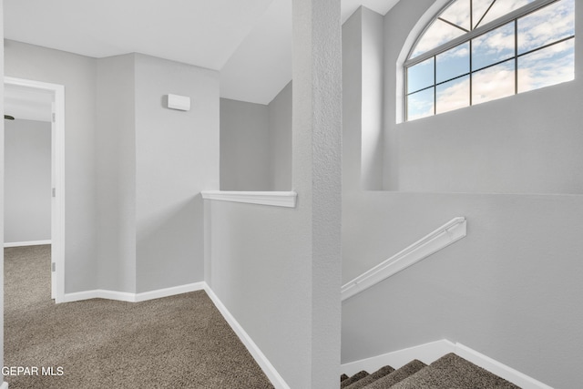 6913 Jericho Tree Dr, El Paso, TX 79934 - hall featuring carpet floors