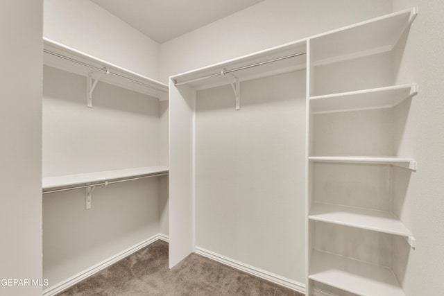 2937 Pino Triste Dr, El Paso, TX 79938 - walk in closet featuring carpet floors