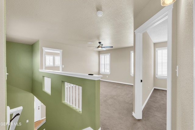 2937 Pino Triste Dr, El Paso, TX 79938 - hallway with healthy amount of natural light, carpet, and a textured ceiling