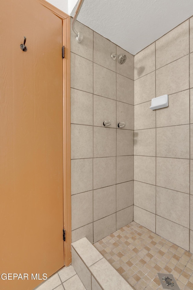 7308 Cerro Negro Dr, El Paso, TX 79912 - bathroom featuring a tile shower and tile patterned floors