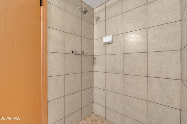 7308 Cerro Negro Dr, El Paso, TX 79912 - bathroom view of a tile shower