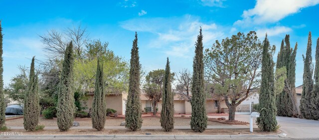 1617 Tommy Aaron Dr, El Paso, TX 79936 - photo 10