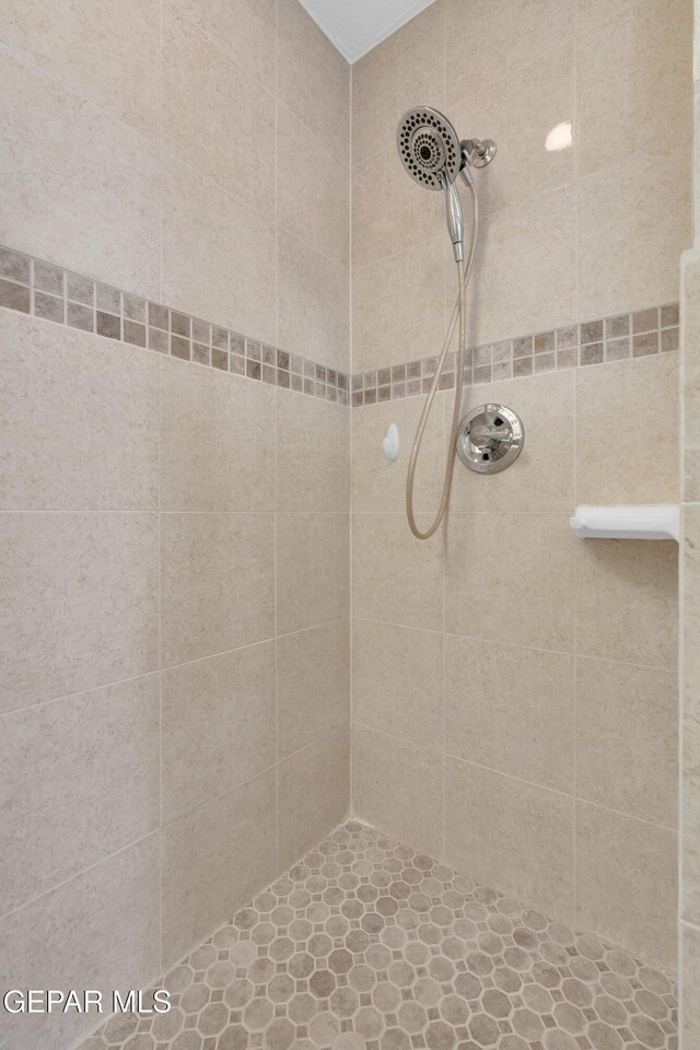 1617 Tommy Aaron Dr, El Paso, TX 79936 - photo 61