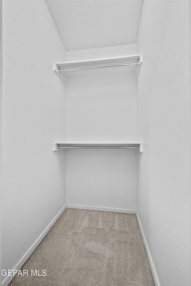 12920 Tierra Salas Dr, El Paso, TX 79938 - spacious closet with carpet floors