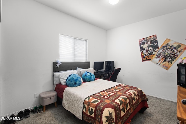 14381 Seth Payne Dr, Horizon City, TX 79928 - photo 22