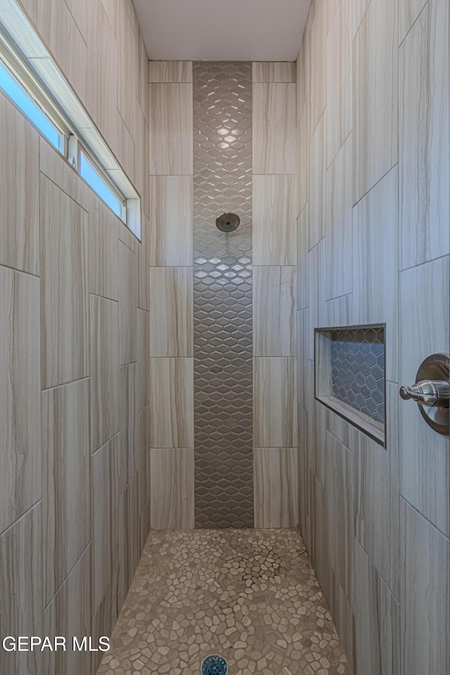 1798 Dana Gray St, El Paso, TX 79928 - full bathroom with tiled shower