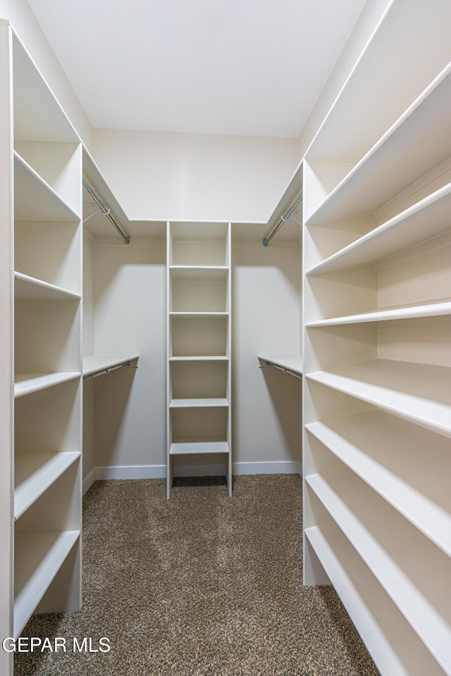 1798 Dana Gray St, El Paso, TX 79928 - walk in closet featuring carpet floors