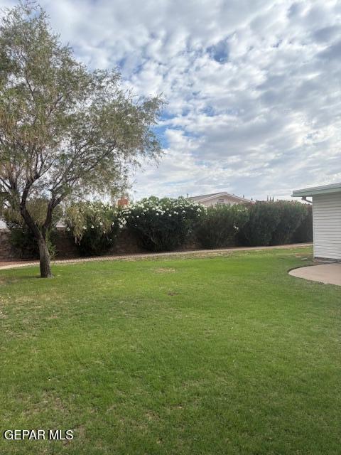 10700 Janway Dr, El Paso, TX 79935 - view of green lawn